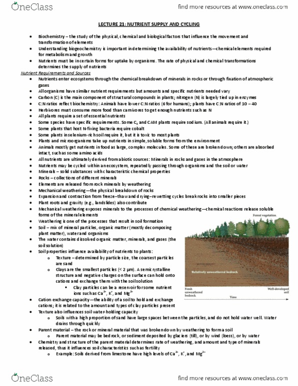 Biology 2483A Lecture Notes - Plant Litter, Parent Material, Soil thumbnail