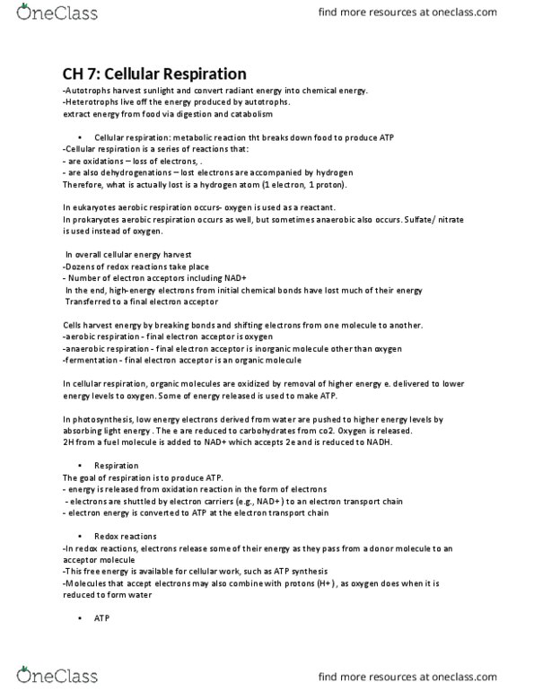 BIOL 2311 Lecture Notes - Lecture 7: Oxaloacetic Acid, Chemiosmosis, Citric Acid thumbnail