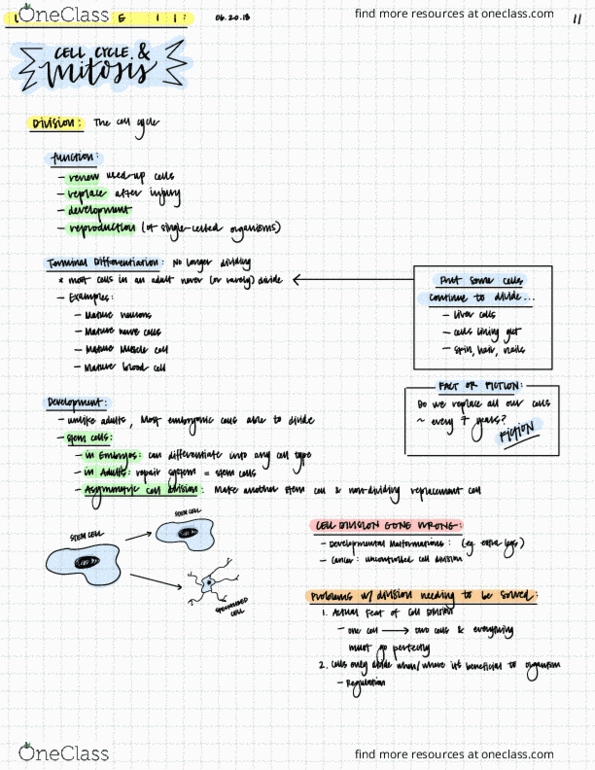 EBIO 1210 Lecture Notes - Lecture 11: Prokaryote, Nuclear Membrane, Microtubule thumbnail