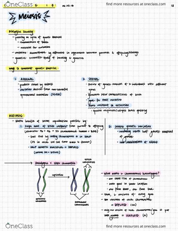 EBIO 1210 Lecture Notes - Lecture 13: Metaphase, Zygosity, Rna thumbnail