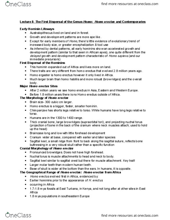 ANTA01H3 Lecture Notes - Lecture 8: Olduvai Gorge, Homo Habilis, Torse thumbnail
