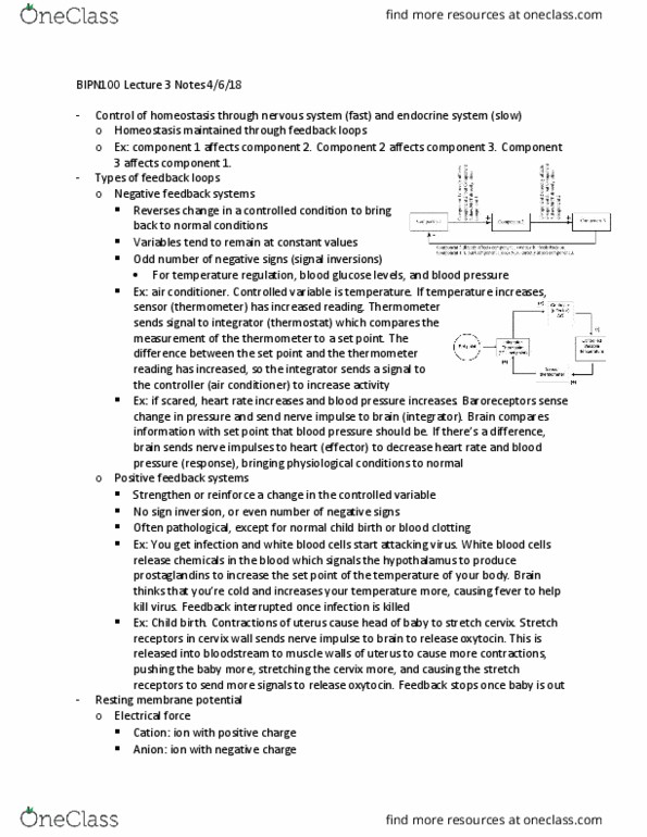 BIPN 100 Lecture Notes - Lecture 3: Goldman Equation, Membrane Protein, Nernst Equation thumbnail