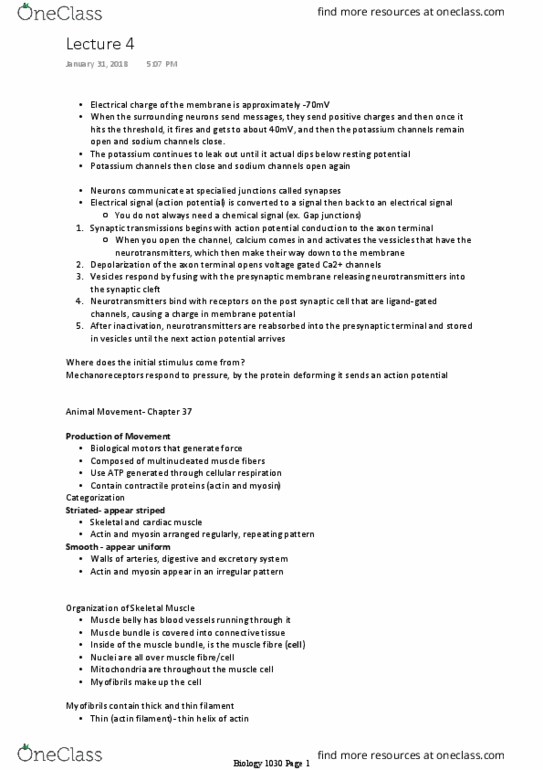 BIOL 1030H Lecture Notes - Lecture 4: Anaerobic Glycolysis, Myoglobin, Titin thumbnail