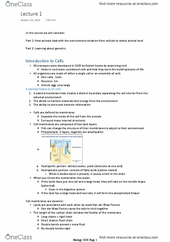 BIOL 1030H Lecture Notes - Lecture 1: Osmosis, Fluid Mosaic Model, Homeostasis thumbnail