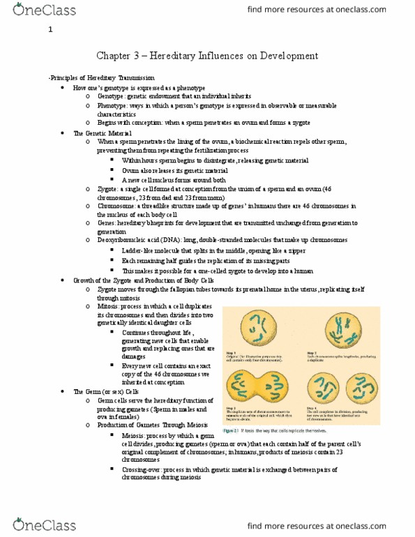 PSYC 2500H Chapter Notes - Chapter 3: Intellectual Disability, Sickle-Cell Disease, Gregor Mendel thumbnail