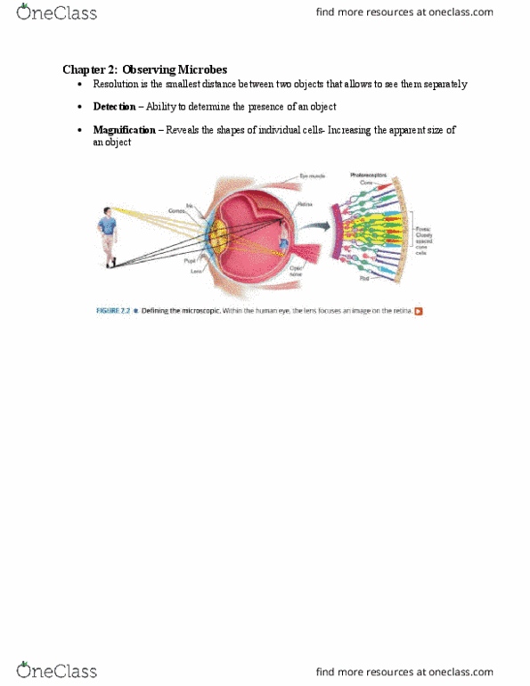 MICR 2420 Lecture Notes - Lecture 2: Gram-Positive Bacteria, Osamu Shimomura, Scanning Tunneling Microscope thumbnail