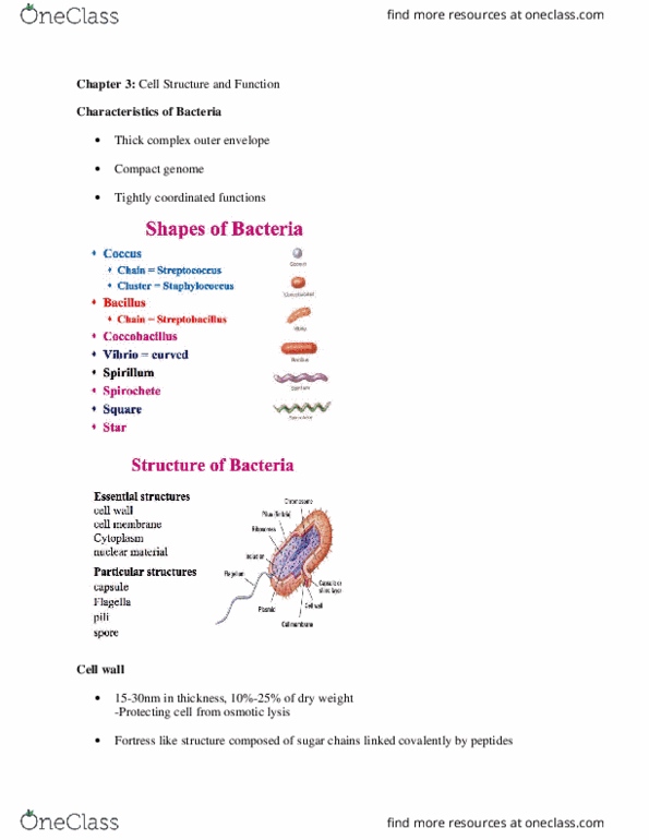 MICR 2420 Lecture Notes - Lecture 3: Microorganism, Nitrogen Fixation, Biofilm thumbnail