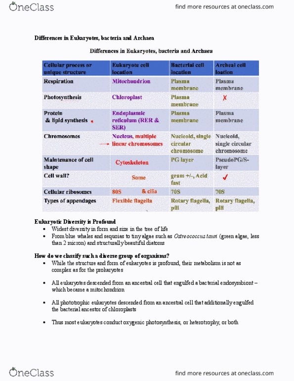 MICR 2420 Lecture Notes - Lecture 5: Saprotrophic Nutrition, Agarose, Sargassum thumbnail