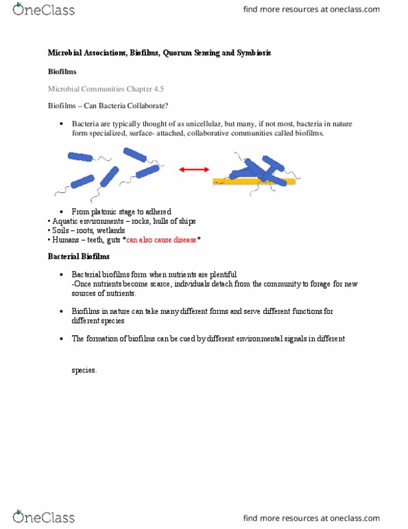 MICR 2420 Lecture Notes - Lecture 14: Antimicrobial Resistance, Antibiotics, Alginic Acid thumbnail