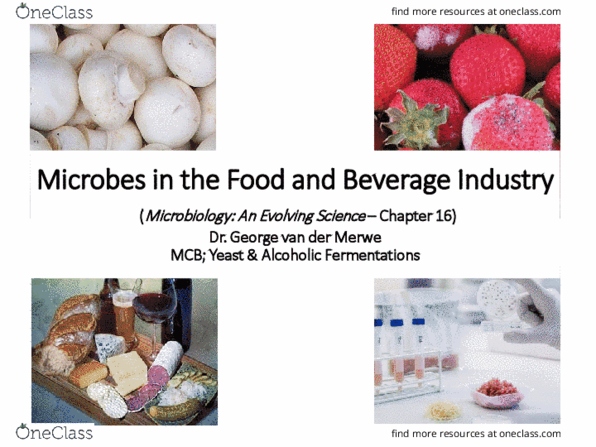 MICR 2420 Lecture Notes - Lecture 16: Microbiology, Porphyra, Listeriosis thumbnail