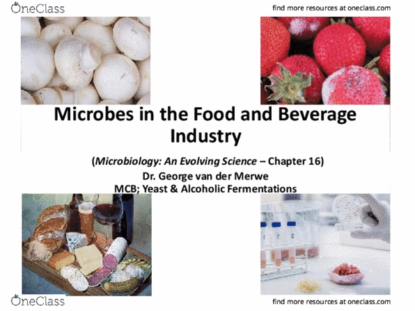 MICR 2420 Lecture Notes - Lecture 17: Saccharomyces Cerevisiae, Roquefort, Rennet thumbnail