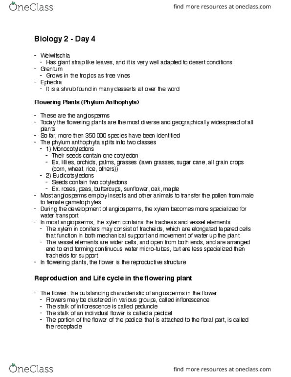 BIOL-1507EL Lecture Notes - Lecture 4: Gamete, Dioecy, Plant Reproductive Morphology thumbnail