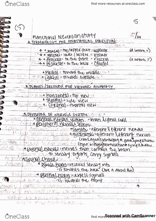 PSY 361 Lecture 1: L1 functional neuroanatomy and basic review or brain thumbnail