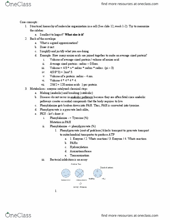 BCHM 10000 Lecture Notes - Lecture 22: Collagen, Hydrogen Bond, Hydroxylysine thumbnail