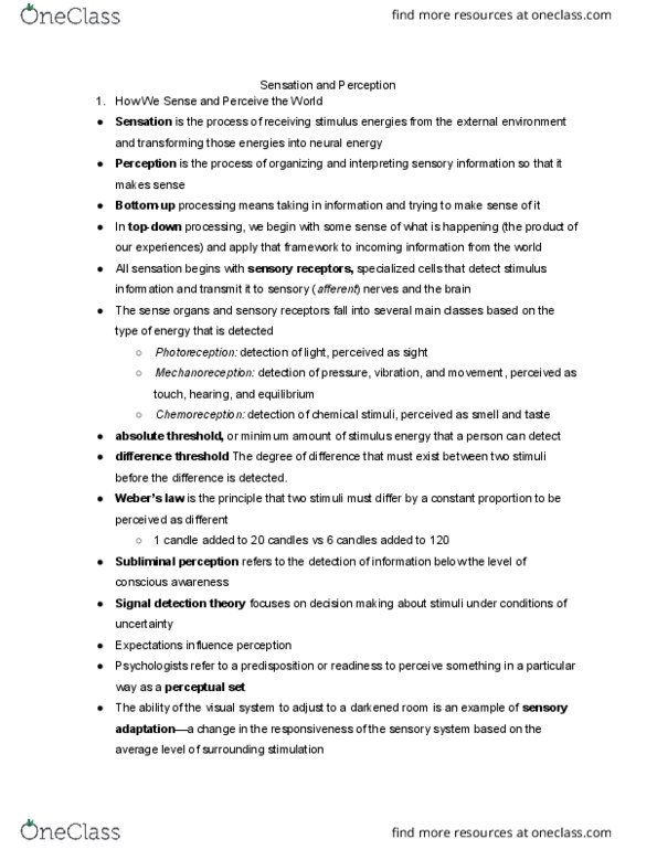 PSYCH 7A Chapter Notes - Chapter 4: Occipital Lobe, Color Vision, Cerebral Cortex thumbnail