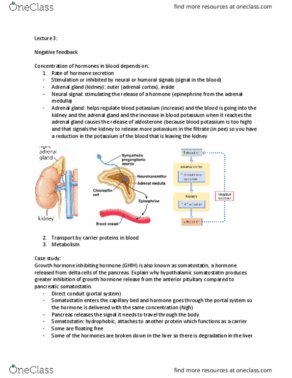 KP222 Lecture Notes - Lecture 3: Aquaporin, Resting Potential, Sensory Neuron thumbnail