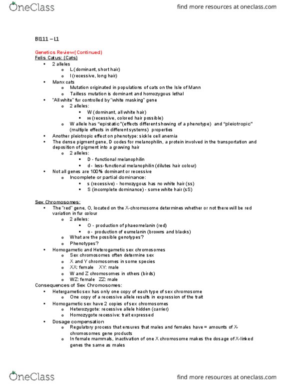 BI111 Lecture Notes - Lecture 1: Mathematical Model, Panmixia, Homologous Chromosome thumbnail