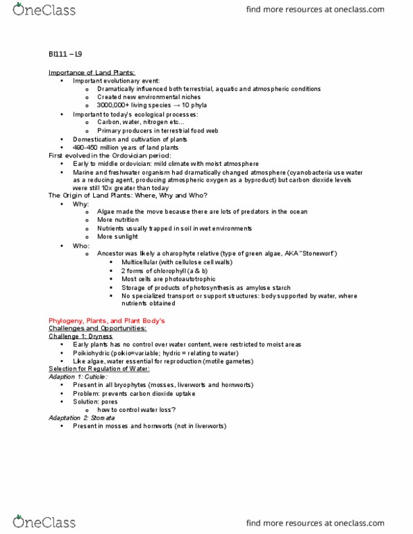 BI111 Lecture Notes - Lecture 9: Ordovician, Charales, Marchantiophyta thumbnail