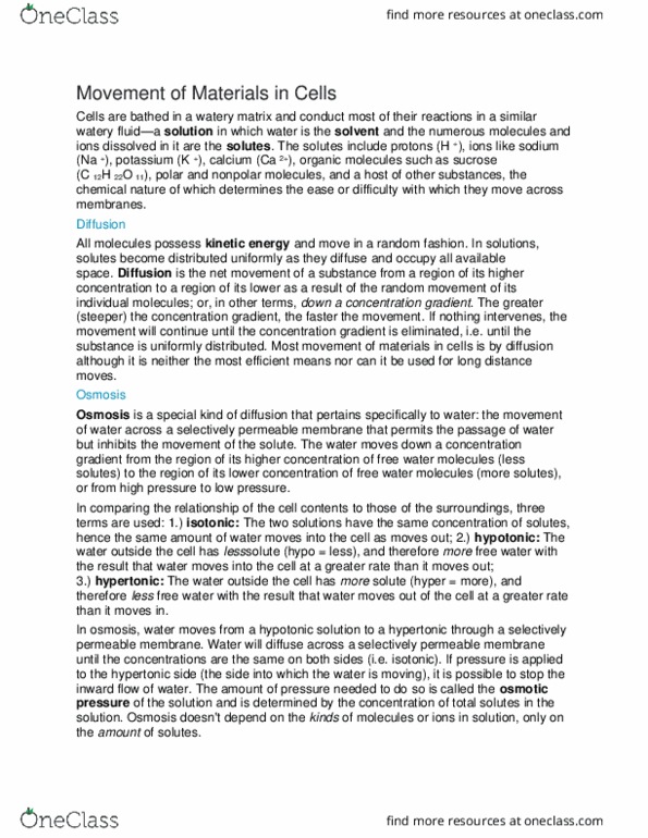 BSC 314 Lecture Notes - Lecture 20: Ground Tissue, Turgor Pressure, Vacuole thumbnail