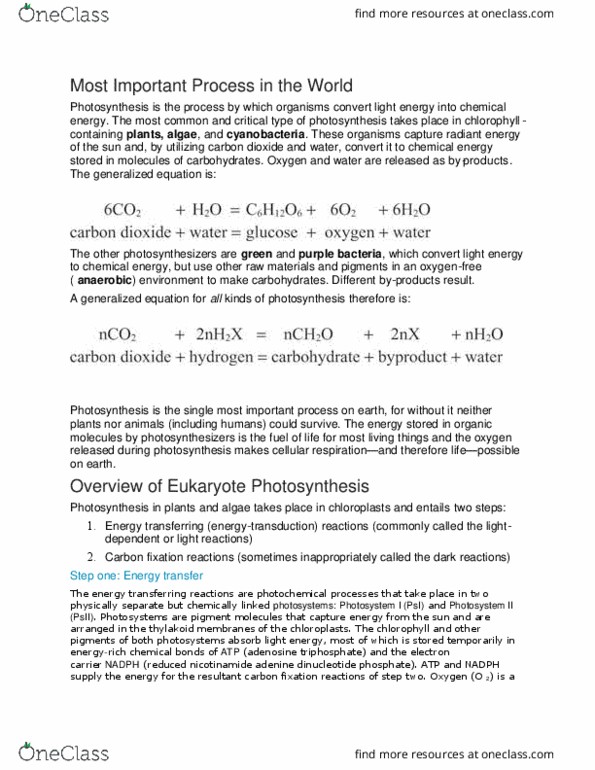 BSC 314 Lecture Notes - Lecture 27: Oxaloacetic Acid, Disaccharide, Hexose thumbnail