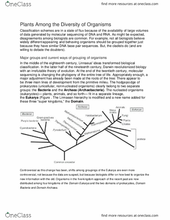 BSC 314 Lecture Notes - Lecture 39: Linnaean Taxonomy, Eukaryote, Archaea thumbnail