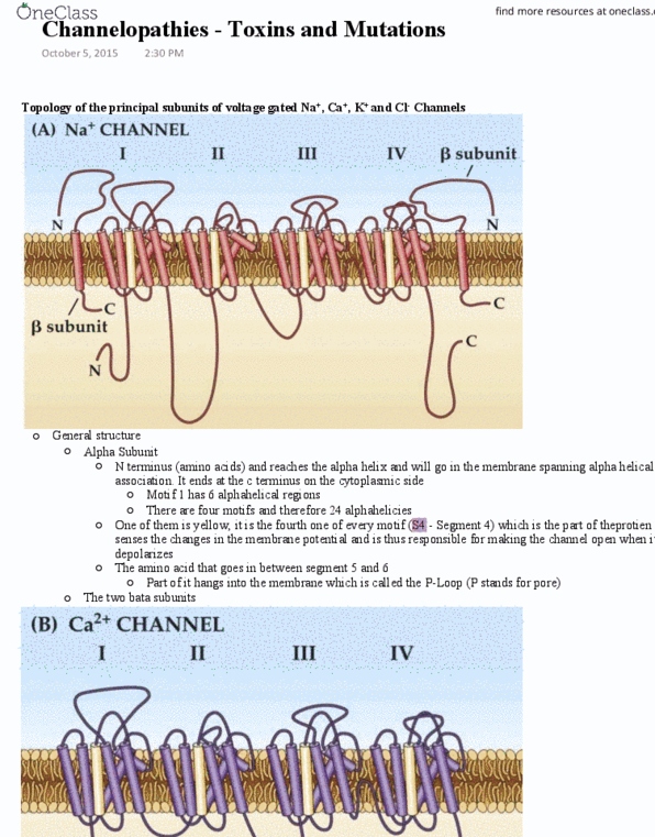 document preview image