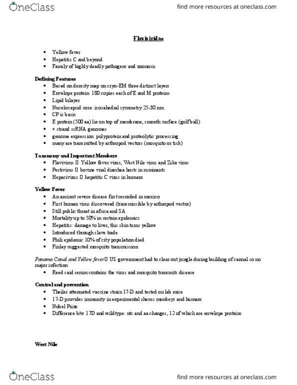 MICR 3330 Lecture Notes - Lecture 8: Glycosaminoglycan, Endosome, Reverse Transcription Polymerase Chain Reaction thumbnail