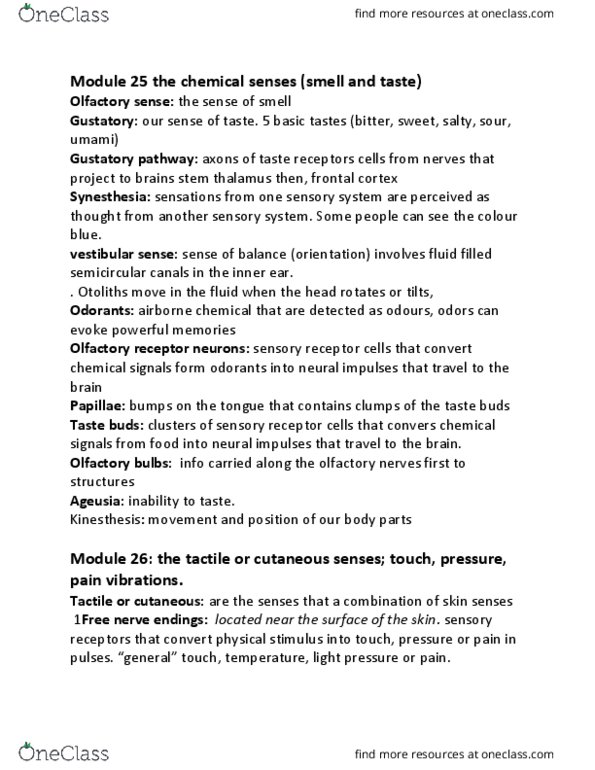 PSYC 1000 Lecture Notes - Lecture 6: Cochlear Nerve, Sound Localization, Sound thumbnail