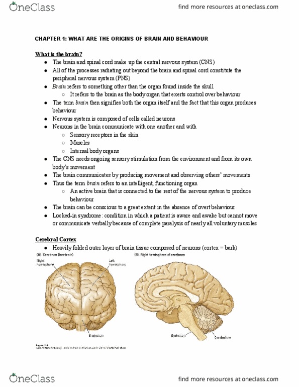 NEUR 2600 Lecture Notes - Lecture 1: Brain Injury, Brain Size, Smart People thumbnail