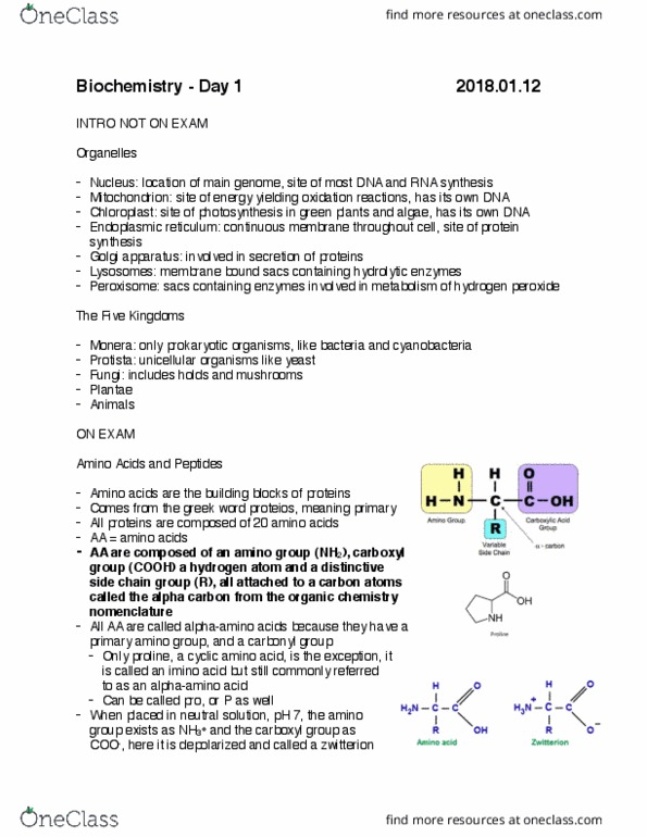 CHMI-2227EL Lecture Notes - Lecture 1: Methyl Group, Alanine, Valine thumbnail