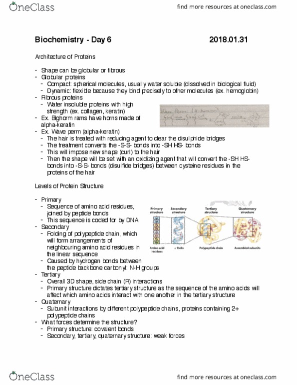 CHMI-2227EL Lecture Notes - Lecture 6: Dextran, Molecular Sieve, Sepharose thumbnail