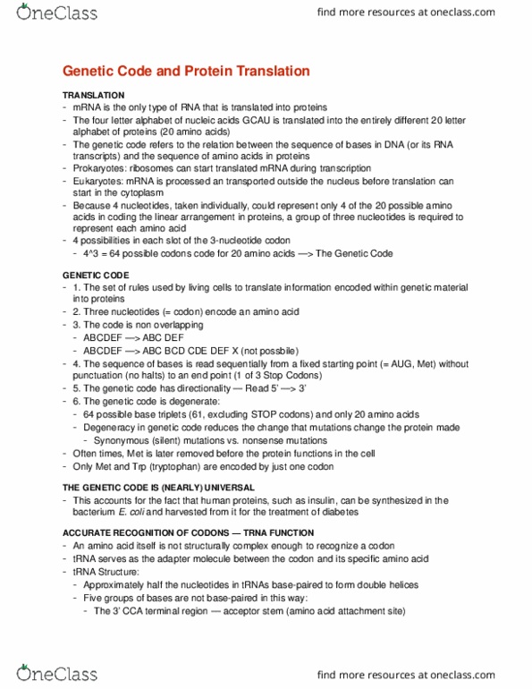 BCEM 393 Lecture Notes - Lecture 17: Hypoxanthine, Peptidyl Transferase, Hydrolysis thumbnail