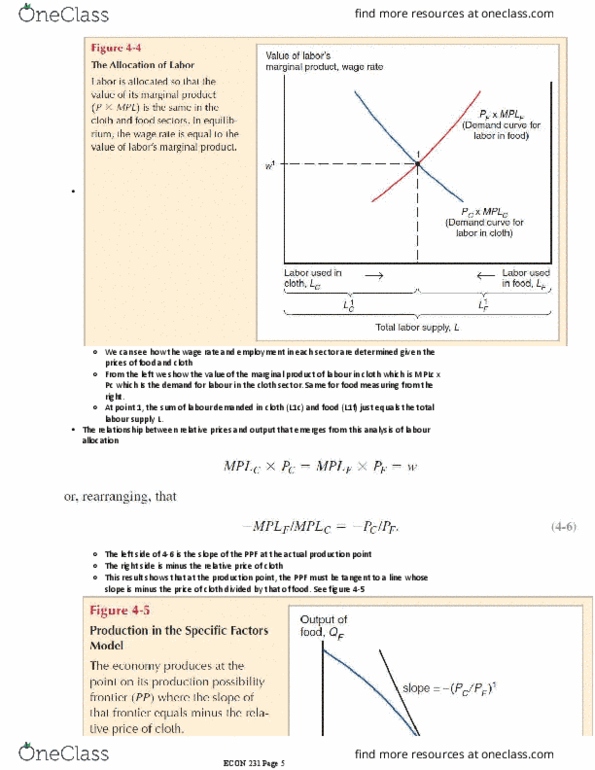 ECON 202 Chapter Notes - Chapter 4: Marginal Product thumbnail