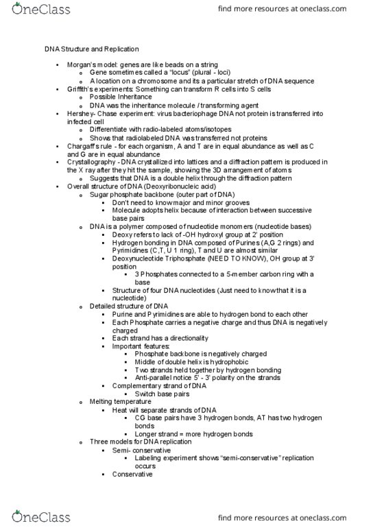 BIOL SCI 215 Lecture Notes - Lecture 4: Okazaki Fragments, Primase, S Phase thumbnail