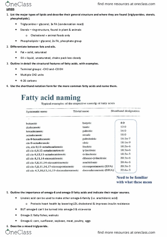 FOOD20003 Lecture Notes - Lecture 16: Monounsaturated Fat, Acetyl-Coa, Citric Acid Cycle thumbnail