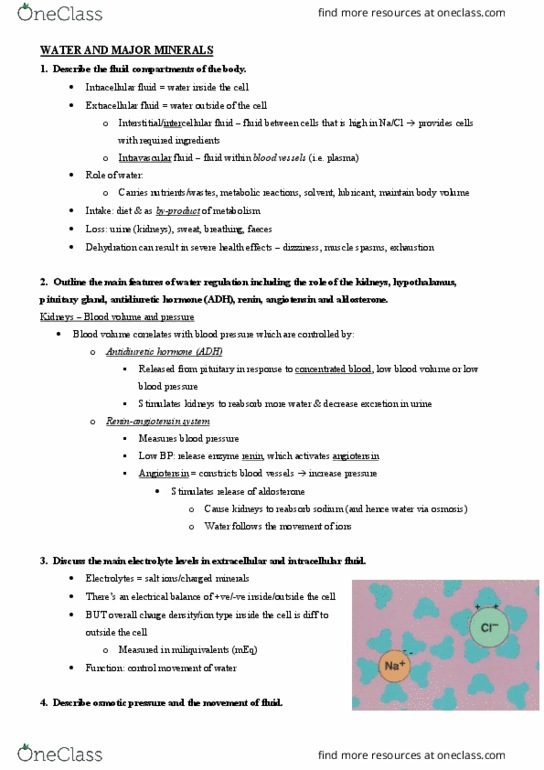 FOOD20003 Lecture Notes - Lecture 20: Magnesium, Vasopressin, Extracellular Fluid thumbnail