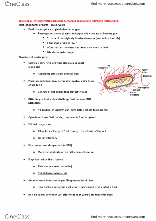 BIOL10004 Lecture Notes - Lecture 2: Decomposer, Mutation, Peptidoglycan thumbnail
