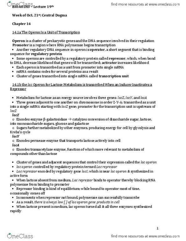 BIOA01H3 Lecture Notes - Lecture 19: Lac Operon, Lac Repressor, Trp Operon thumbnail