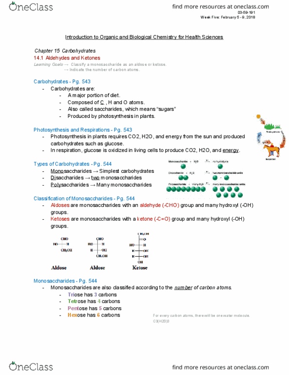 BIOC 1303 Lecture Notes - Lecture 5: Amylose, Starch, Mutarotation thumbnail