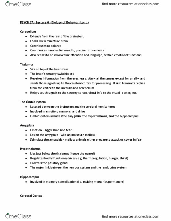 PSYCH 7A Lecture Notes - Lecture 6: Peripheral Nervous System, Adrenal Gland, Auditory Cortex thumbnail