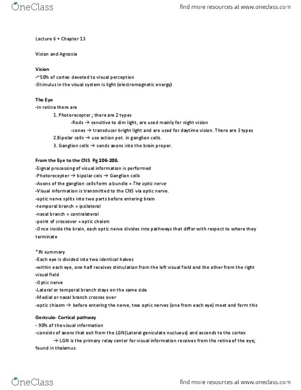 PSY 434 Chapter Notes - Chapter 13: Homonymous Hemianopsia, Optic Chiasm, Optic Nerve thumbnail