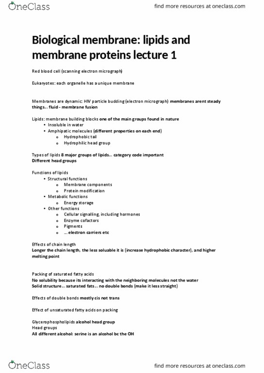 BIOL2200 Lecture Notes - Lecture 1: Sphingosine, Signal Transduction, Alkanolamine thumbnail