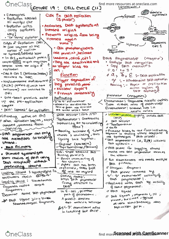 CELL201 Lecture 19: . thumbnail