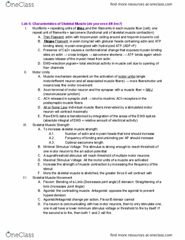 CAS BI 315 Chapter Notes - Chapter 5: Skeletal Muscle, Myocyte, Motor Neuron thumbnail