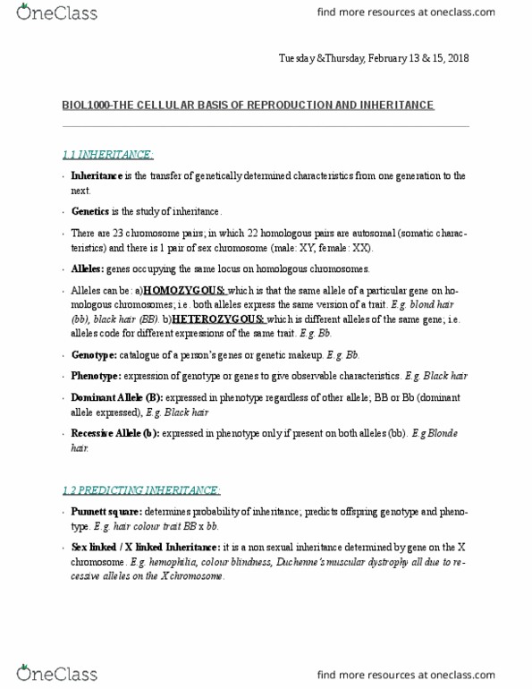 BIOL 1000 Lecture Notes - Lecture 8: Fetus, Umbilical Cord, Dermis thumbnail