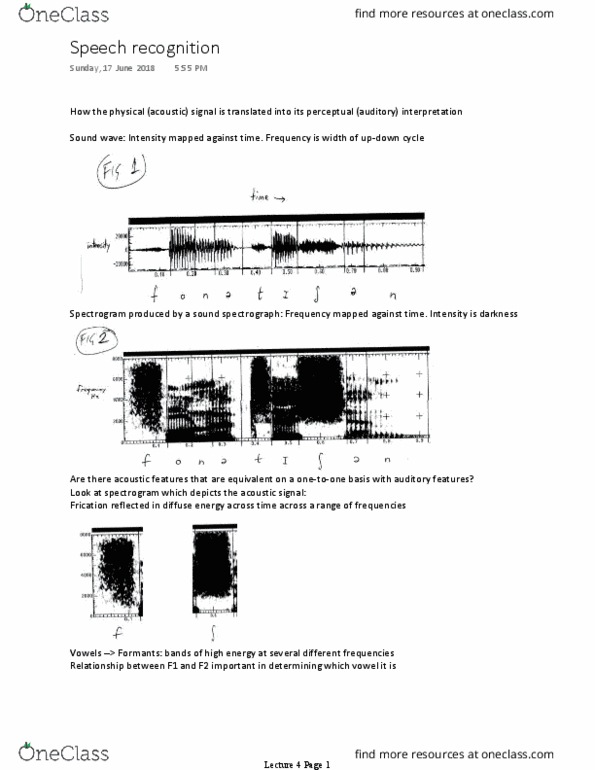 PSYC3331 Lecture Notes - Lecture 5: Phoneme, Cohort Model, Categorical Perception thumbnail
