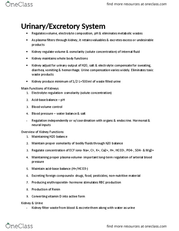 KINE 2031 Lecture Notes - Lecture 3: Renal Pelvis, Renal Vein, Renal Pyramids thumbnail