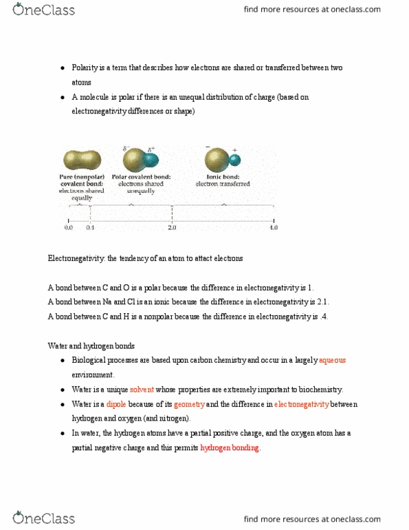 BCHM 10000 Lecture Notes - Lecture 9: Carboxylic Acid, Stereoisomerism, Joule thumbnail