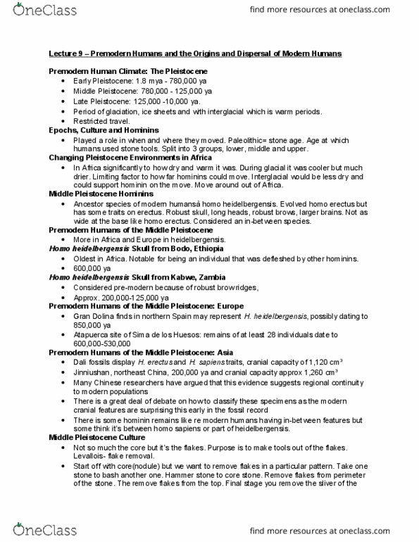 ANTA01H3 Lecture Notes - Lecture 9: Acheulean, Multiregional Origin Of Modern Humans, Hand Axe thumbnail