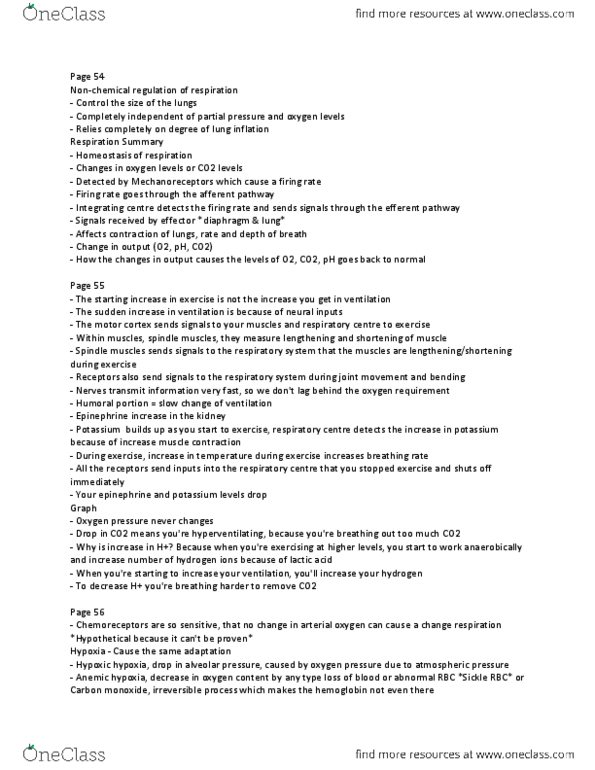 KINE 3012 Lecture Notes - Lecture 10: Partial Pressure, Homeostasis, Hemoglobin thumbnail